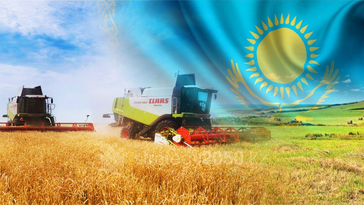 Kazakistan Tahıl İhracatı Yüzde 14 Artışla 12,2 Milyon Tona Ulaştı